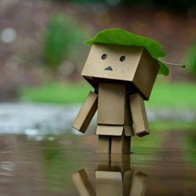 siom_c